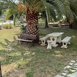 Oasi