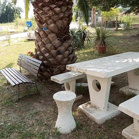Oasi