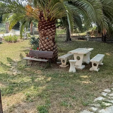 Oasi